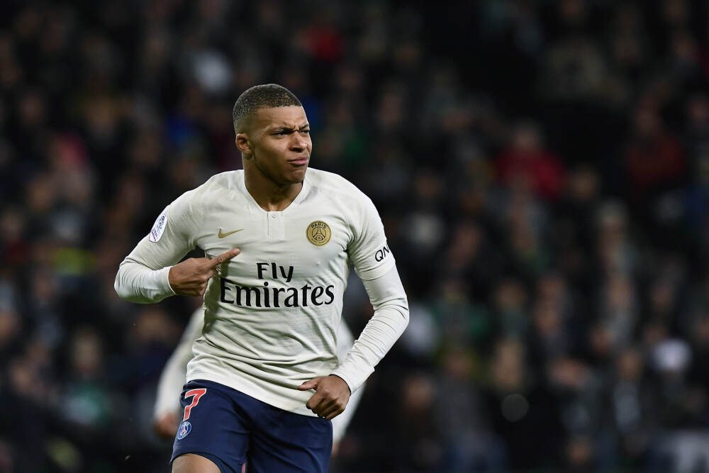 解码候鸟迁徙：它们如何精准跨越山海？